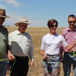 funding bids paul dalby infusion consulting adelaide